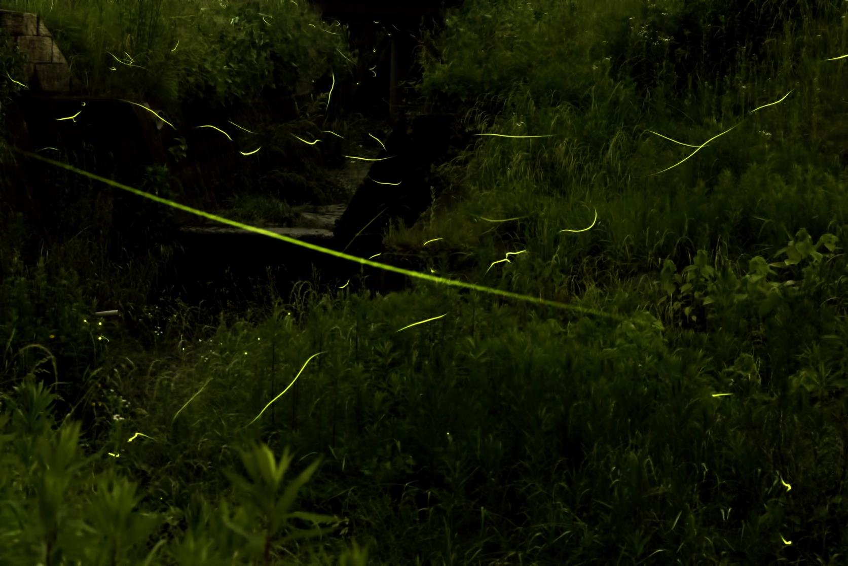 🏞️ 야마다니시 공원 (야마다니시코엔)